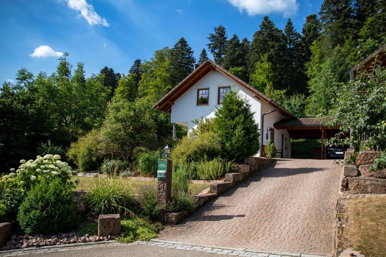 Schwarzwald Chalets Freudenstadt Exteriör bild